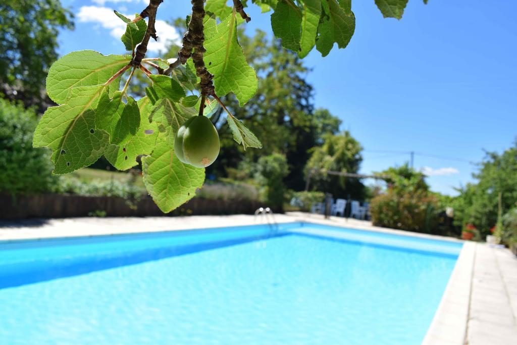 Camping Chez Francis Bed and Breakfast Loupiac  Εξωτερικό φωτογραφία